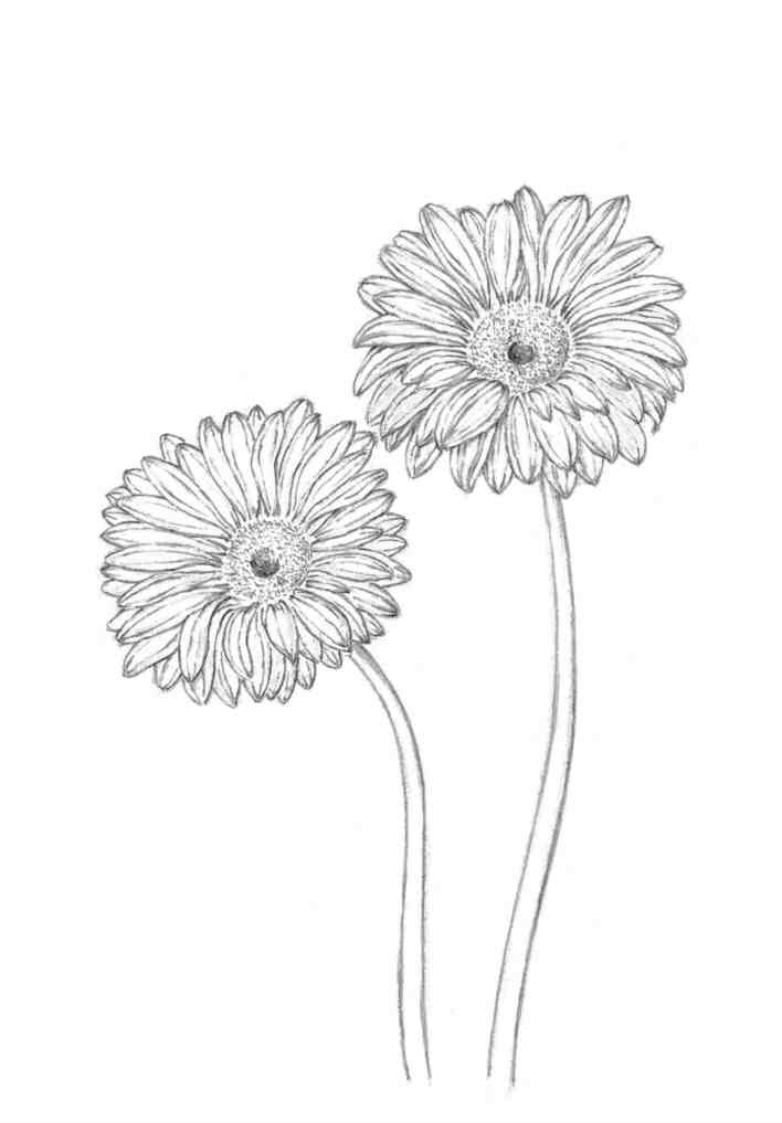 花想絵、7月、水彩画、花、ホタルブクロ、ヒマワリ、キツリフネ