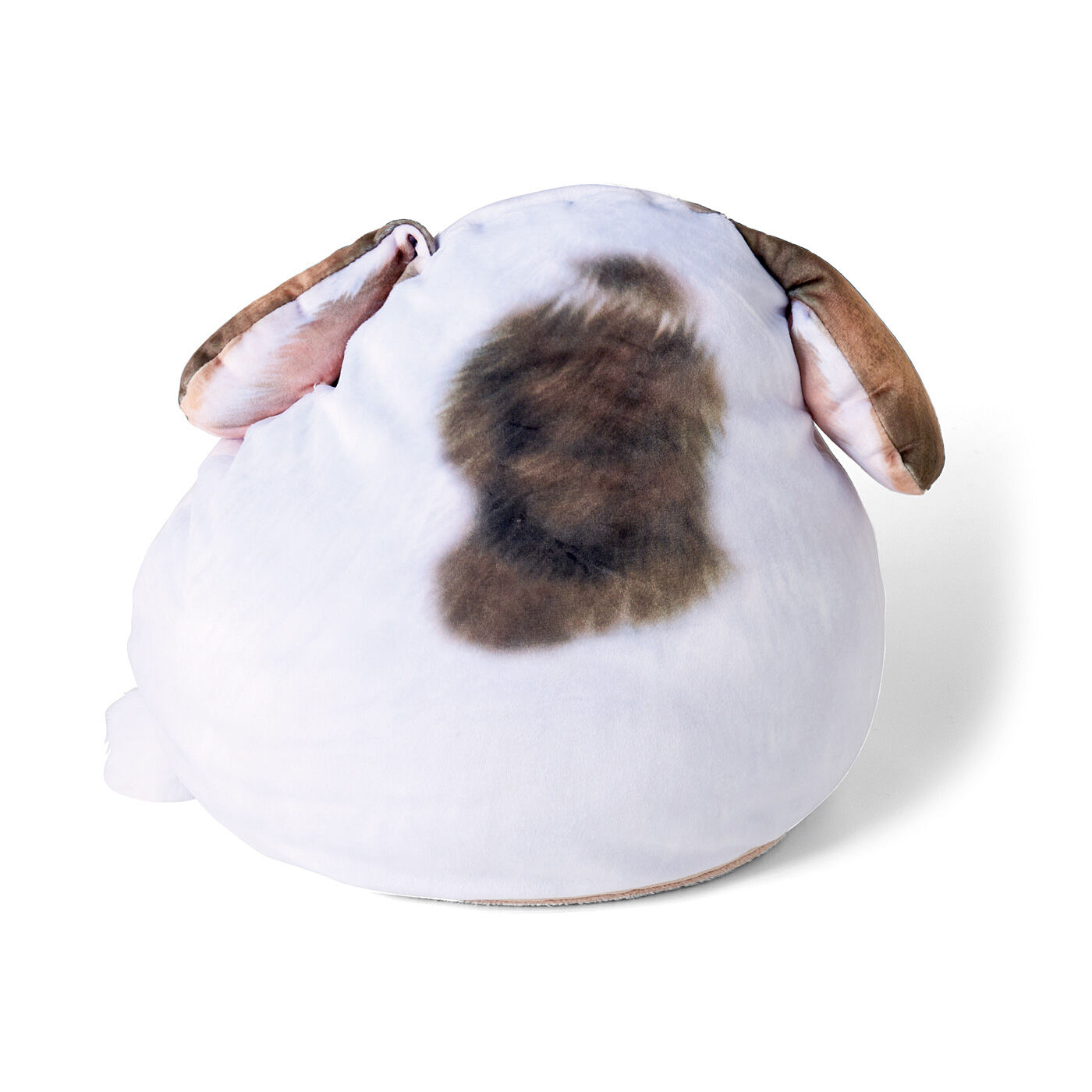YOU+MORE! まったりくつろぐ うさぎのふっくらクッションの会｜YOU+