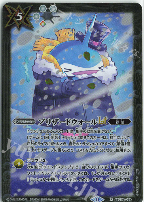 R ブリザードウォールLT(PB39収録/2025年度版) 買取 | [PB39