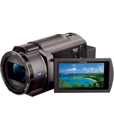 Amazon.co.jp: SONY ビデオカメラ Handycam PJ540 内蔵メモリ32GB
