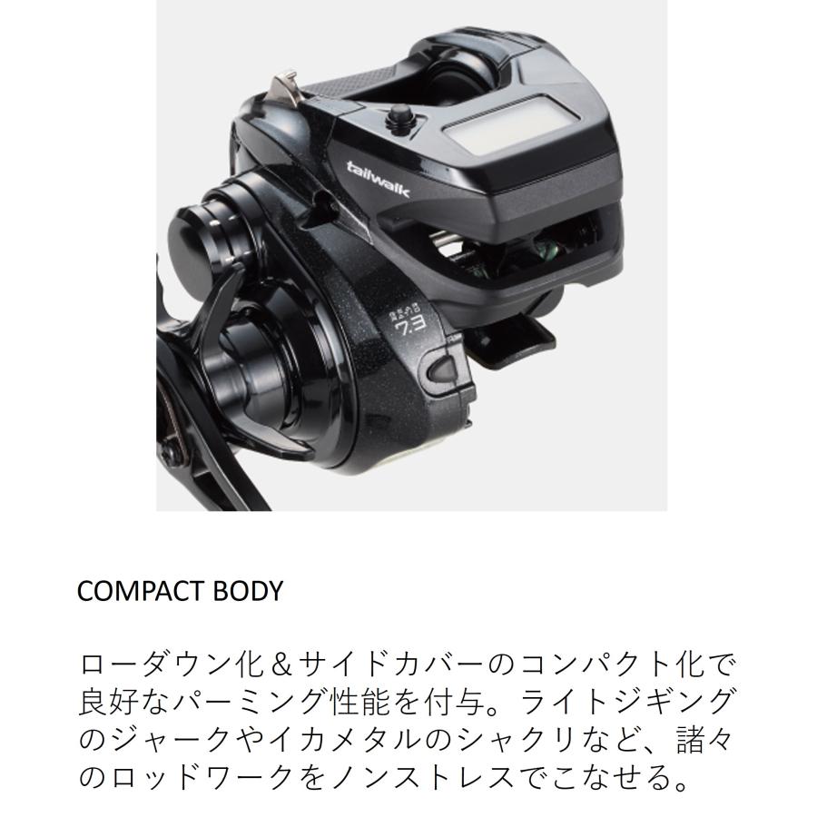 tailwalk（テイルウォーク） VILAYER(ヴィレイヤー) DG 100-PH R(右